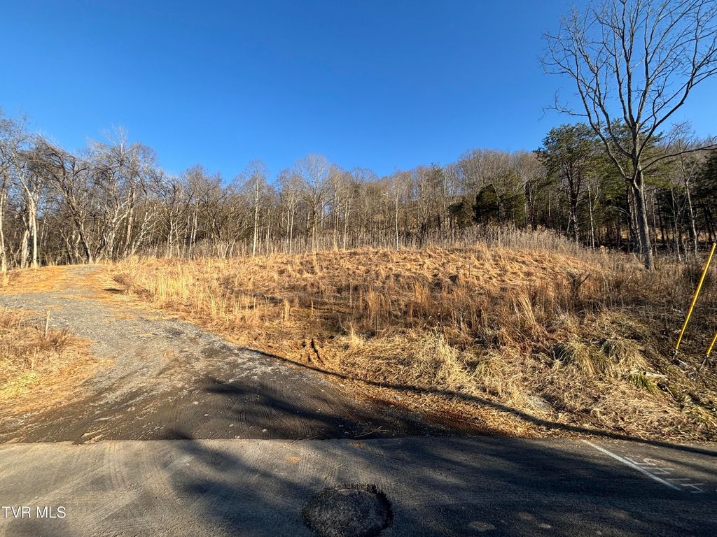 Photo of 4145 Cooks Landing Road, Kingsport, TN 37664 (MLS # 9995584)