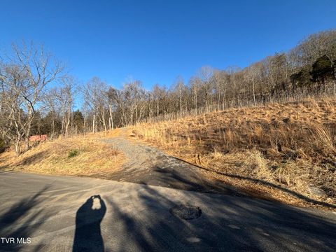 Photo of 4145 Cooks Landing Road, Kingsport, TN 37664 (MLS # 9995584)
