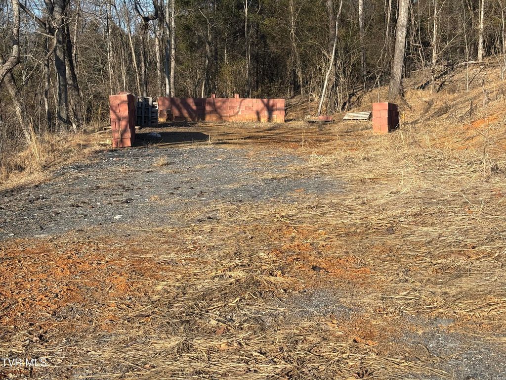 Photo of 4145 Cooks Landing Road, Kingsport, TN 37664 (MLS # 9995584)