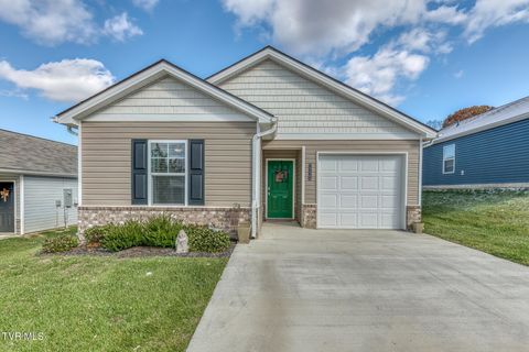 Photo of 1115 Clearwater Lane, Johnson City, TN 37601 (MLS # 9988280)