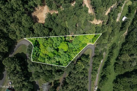 Vacant Land For Sale - LOT 2 Lake Ridge Road<br/> Johnson County, Butler, TN 37640