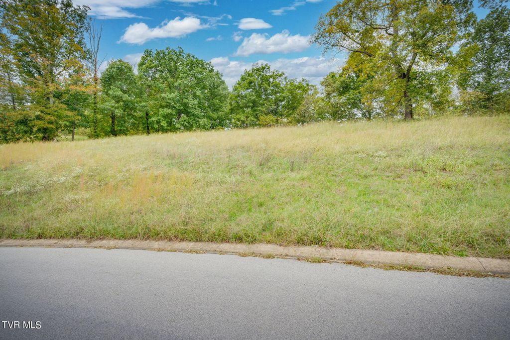 Photo of 2514 Glasgow Station Road, Kingsport, TN 37664 (MLS # 9986994)