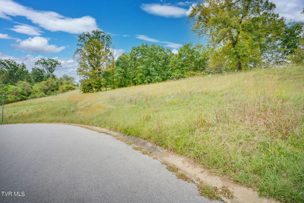 Photo of 2514 Glasgow Station Road, Kingsport, TN 37664 (MLS # 9986994)