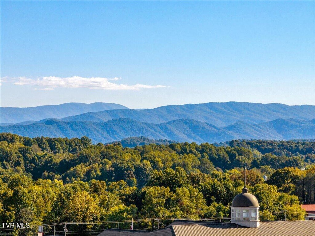 Photo of 337 English Ivy Trail, Jonesborough, TN 37659 (MLS # 10001558)