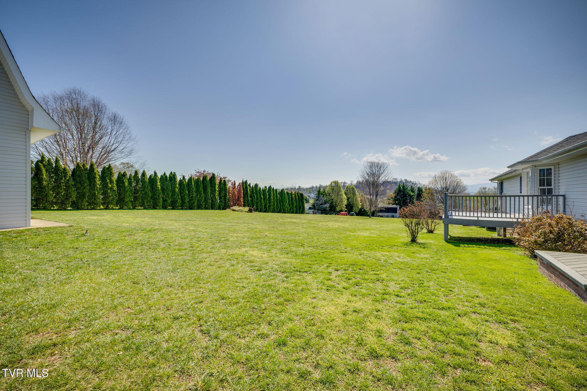 136 Collins Lane, Limestone, Tennessee image 45