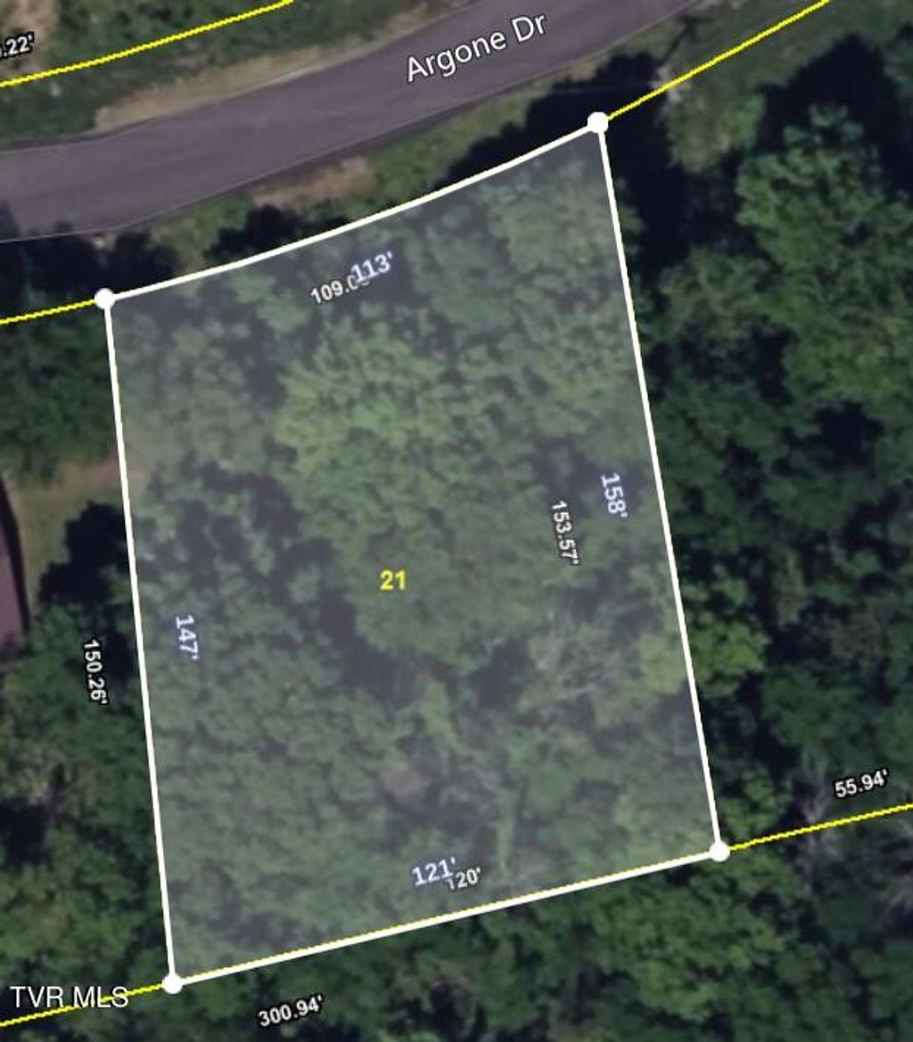 Photo of 21 Argonne Street, Kingsport, TN 37664 (MLS # 9981931)