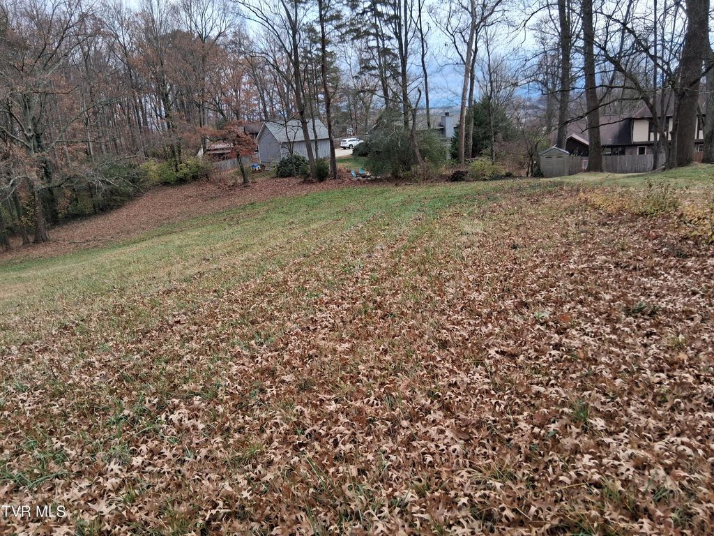 Photo of 0 Millbrook Drive, Johnson City, TN 37604 (MLS # 9989099)