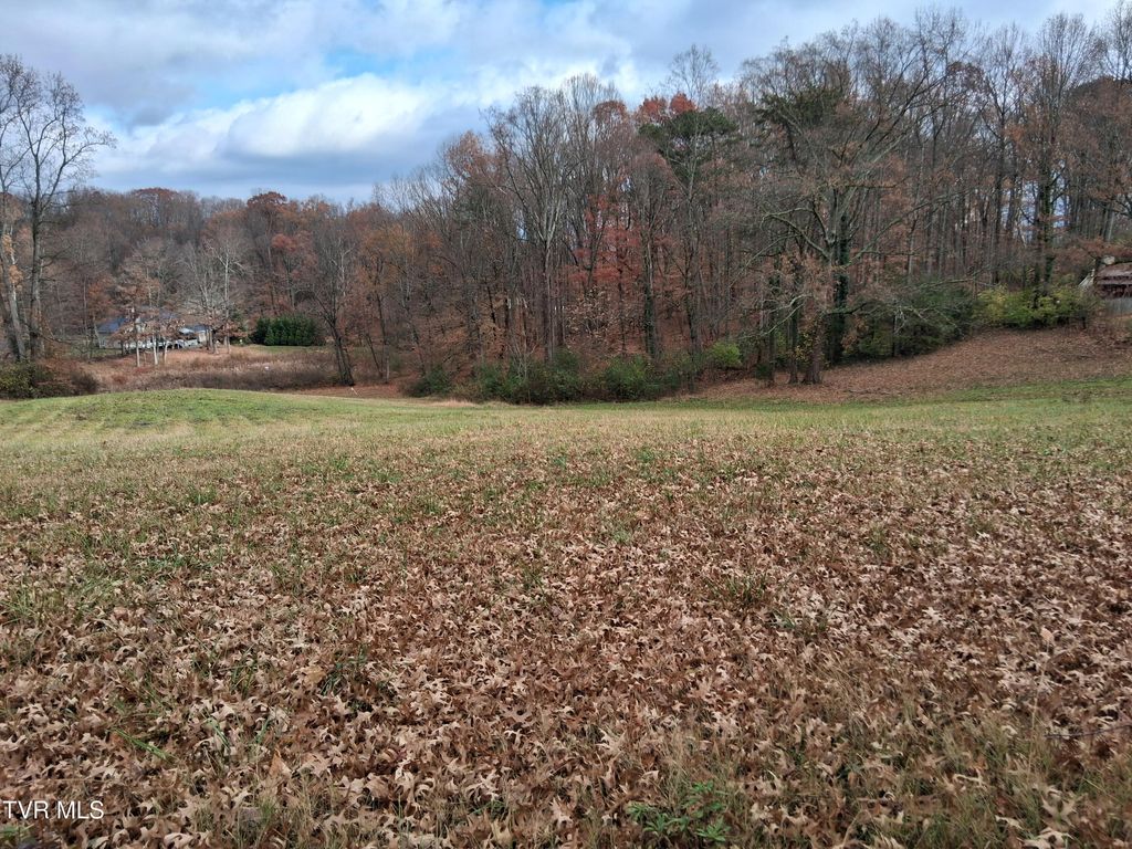 Photo of 0 Millbrook Drive, Johnson City, TN 37604 (MLS # 9989099)