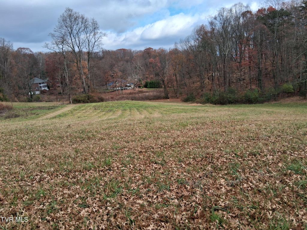 Photo of 0 Millbrook Drive, Johnson City, TN 37604 (MLS # 9989099)