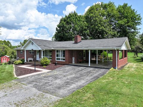 Homes For Sale - 186 Garland Road<br/> Limestone, TN 37681