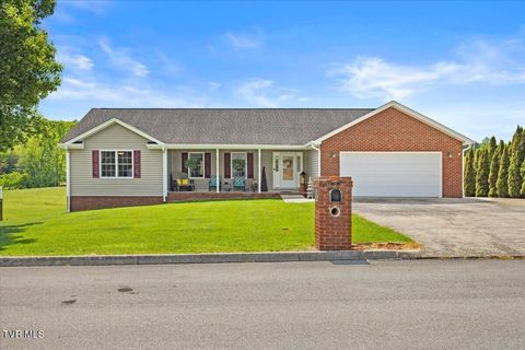 Photo of 151 Sunnyfield Drive, Blountville, TN 37617 (MLS # 9994395)