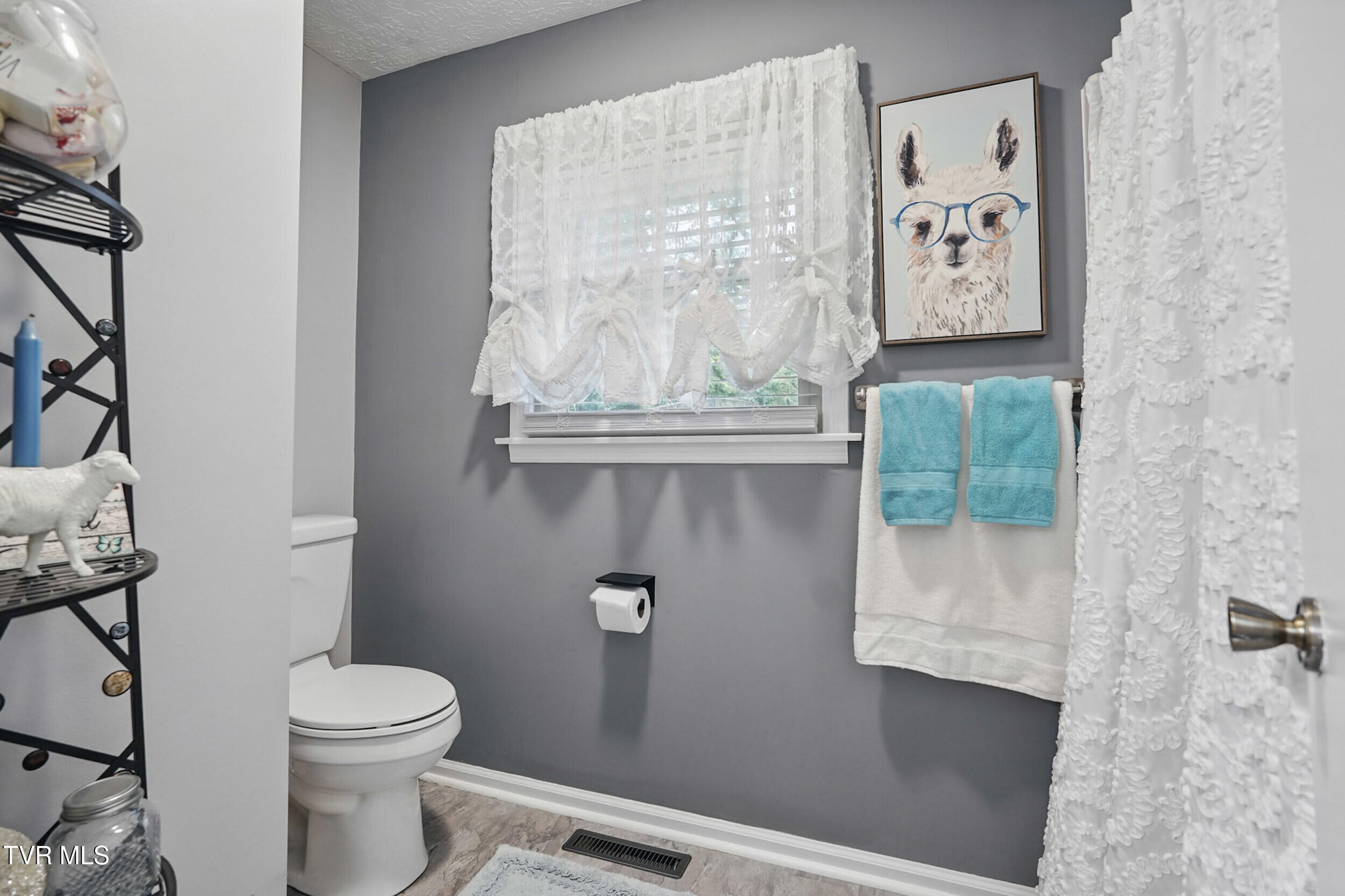 284 Samlola Road, Blountville, Tennessee image 30