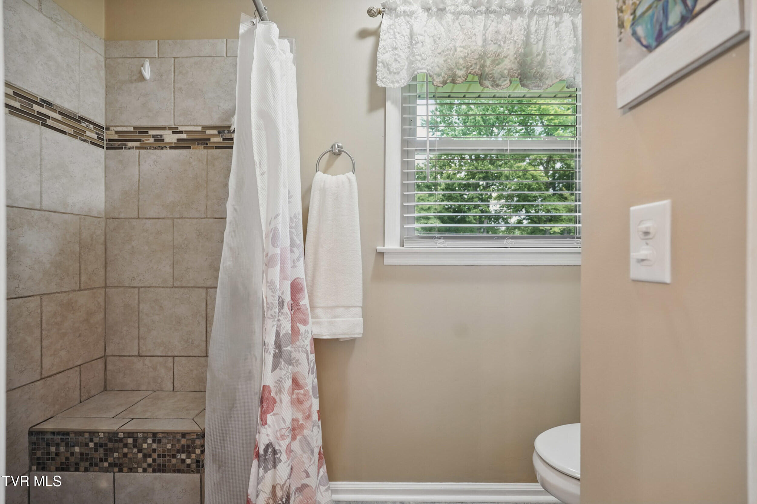 284 Samlola Road, Blountville, Tennessee image 27