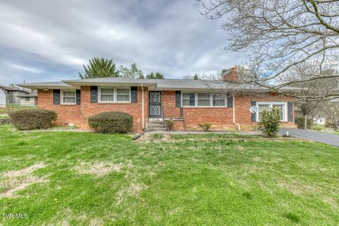 428 Allen Drive Kingsport TN 37660