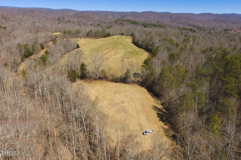 Photo of 179 Sutton Hollow Road, Sneedville, TN 37869 (MLS # 9993080)