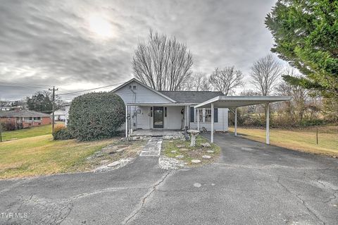 Photo of 1308 Eastman Road, Kingsport, TN 37660 (MLS # 9989704)