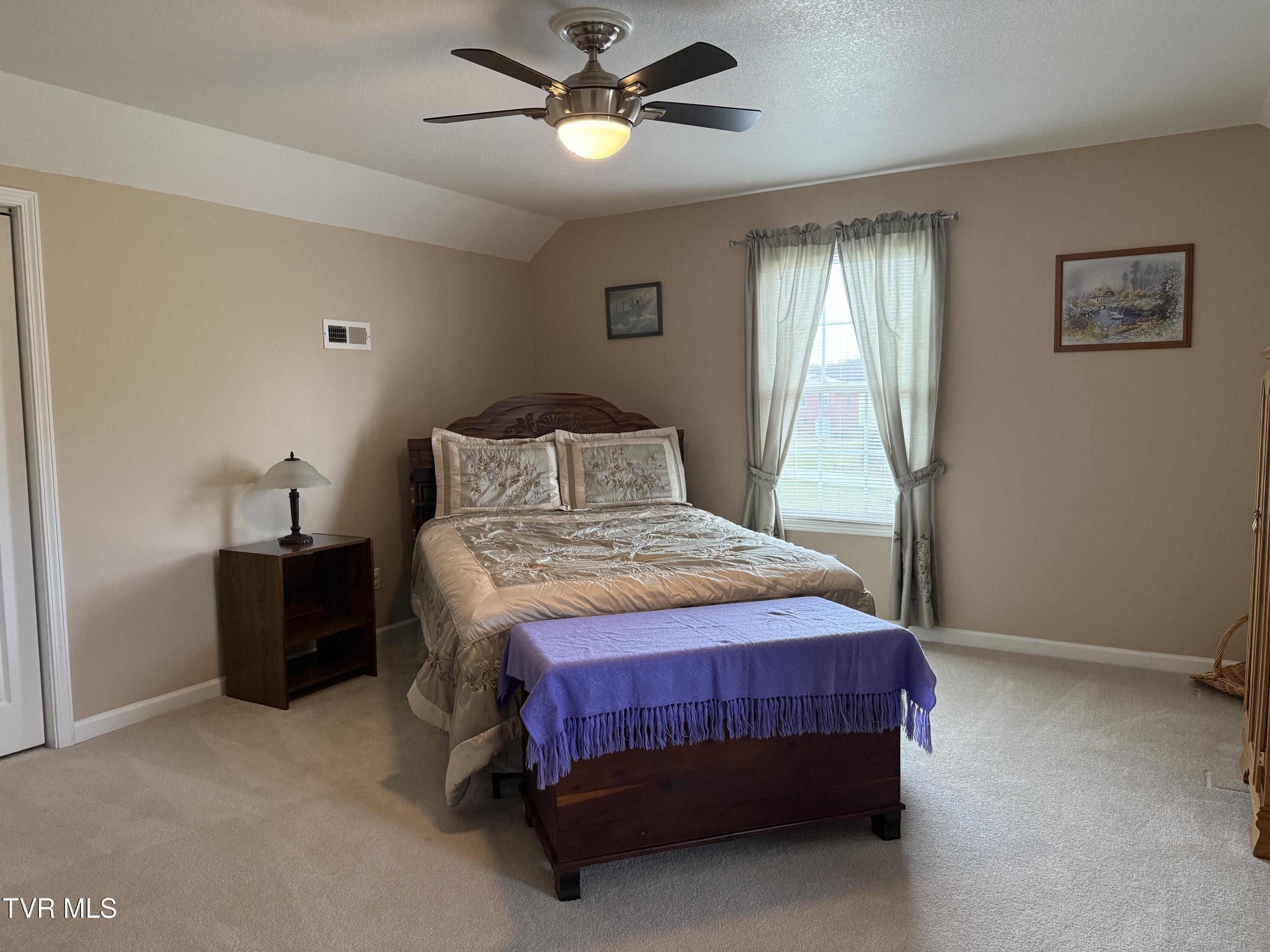 463 Pine Ridge Drive, Afton, Tennessee image 27