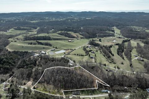 Vacant Land For Sale - TBD Oak Glen Circle<br/> Washington County, Fall Branch, TN 37656