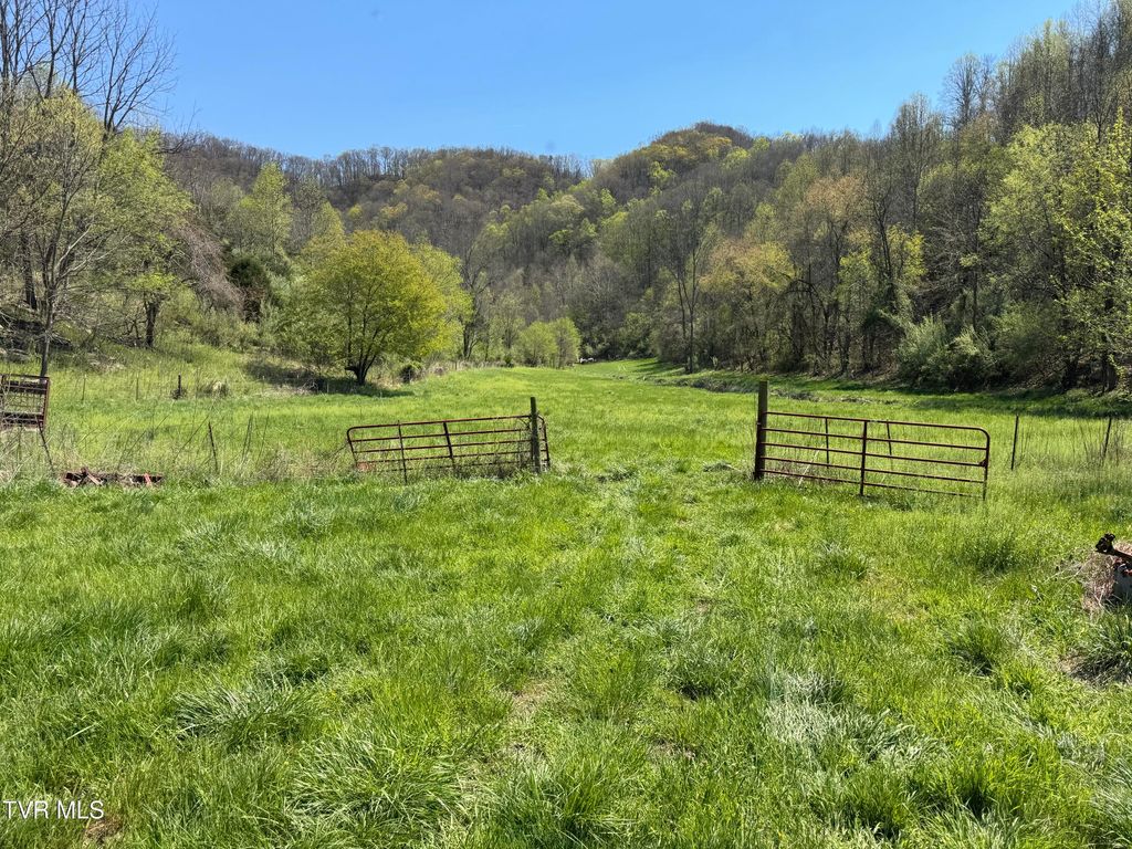 Photo of 9296 Bristol Highway, Hiltons, VA 24258 (MLS # 9993508)