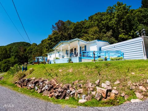 Homes For Sale - 115 Hammond Road<br/> Rogersville, TN 37857