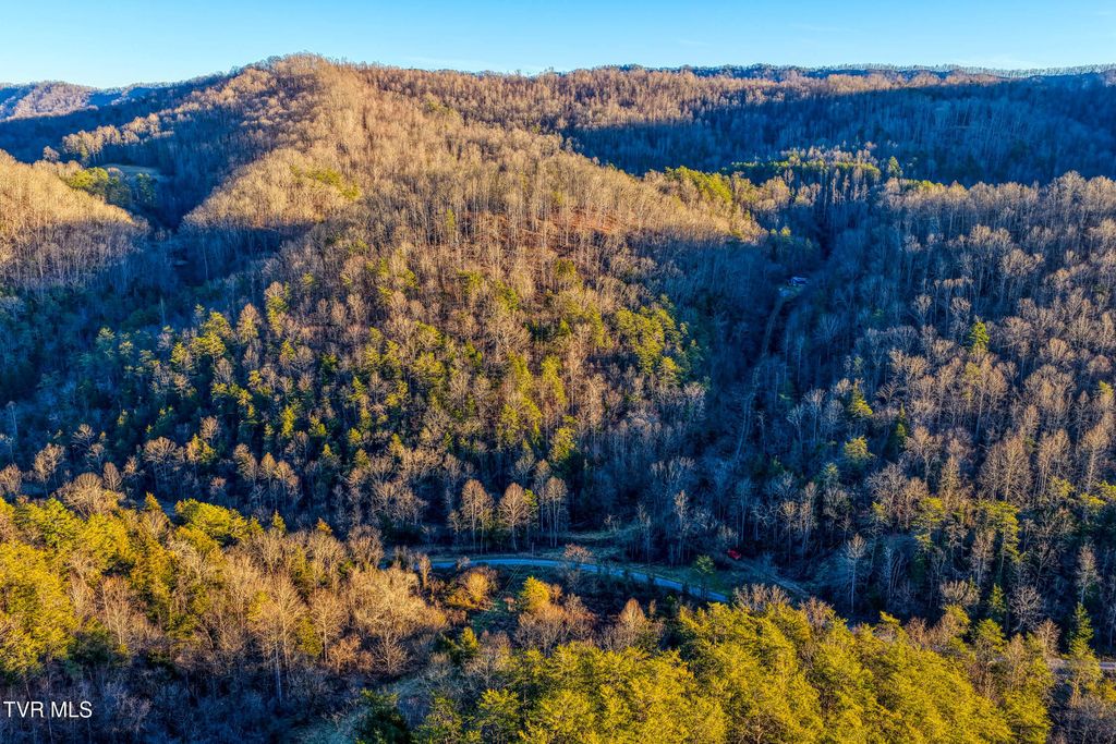 Photo of 1028 Pumpkin Valley Road, Eidson, TN 37731 (MLS # 9990282)