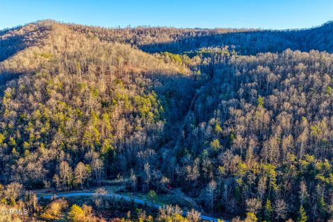 Vacant Land For Sale - 1028 Pumpkin Valley Road<br/> Eidson, TN 37731