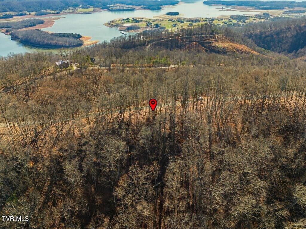 Photo of 141 Chelaque Way, Mooresburg, TN 37811 (MLS # 9990137)