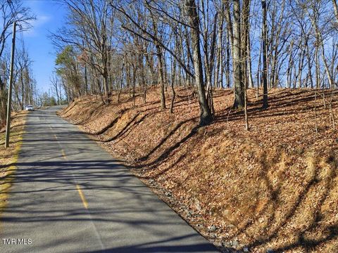 Vacant Land For Sale - 141 Chelaque Way<br/> Mooresburg, TN 37811