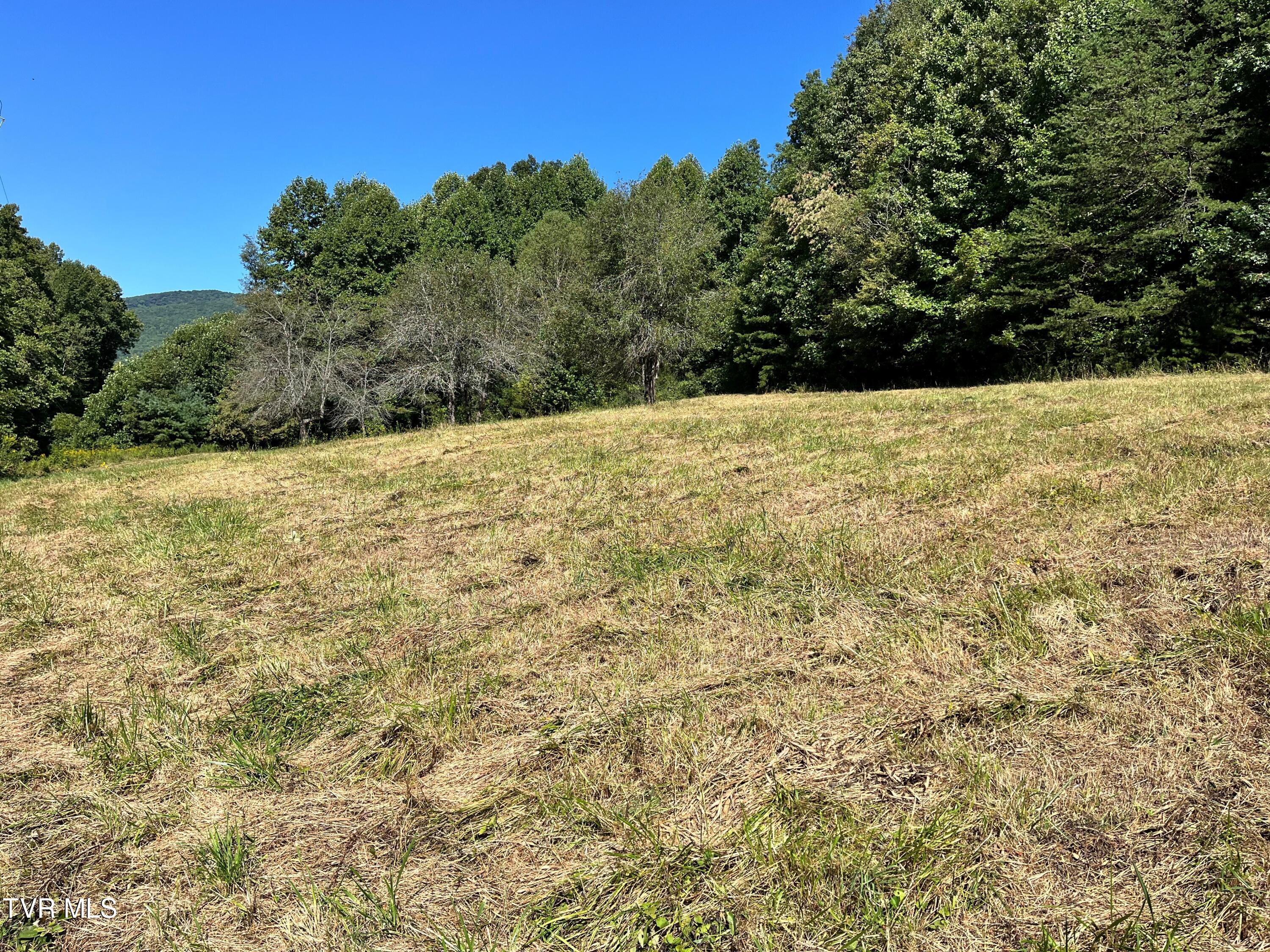 133 00 Richardson Hollow/ Estep Lp Rd, Elizabethton, Tennessee image 3