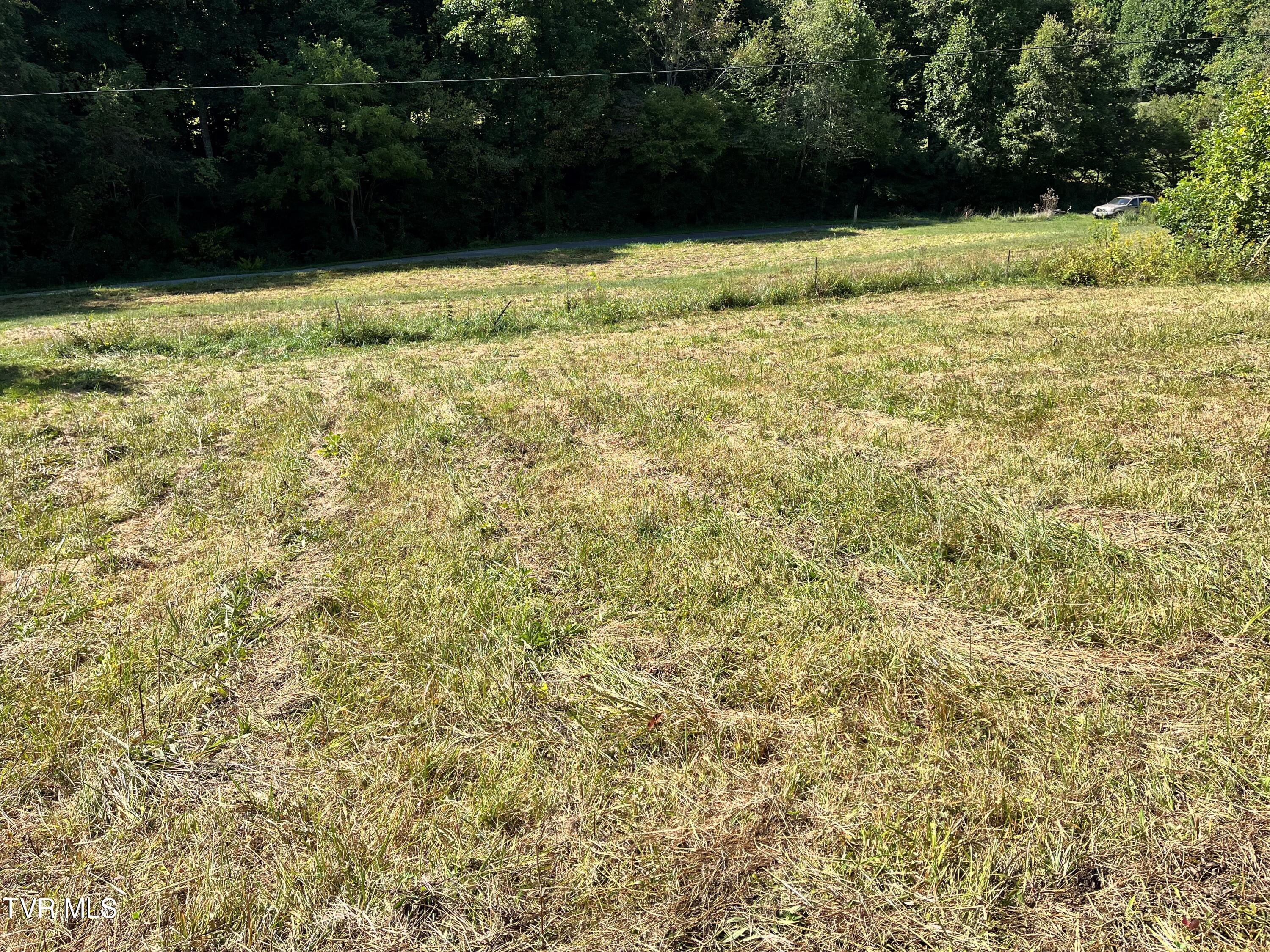 133 00 Richardson Hollow/ Estep Lp Rd, Elizabethton, Tennessee image 4