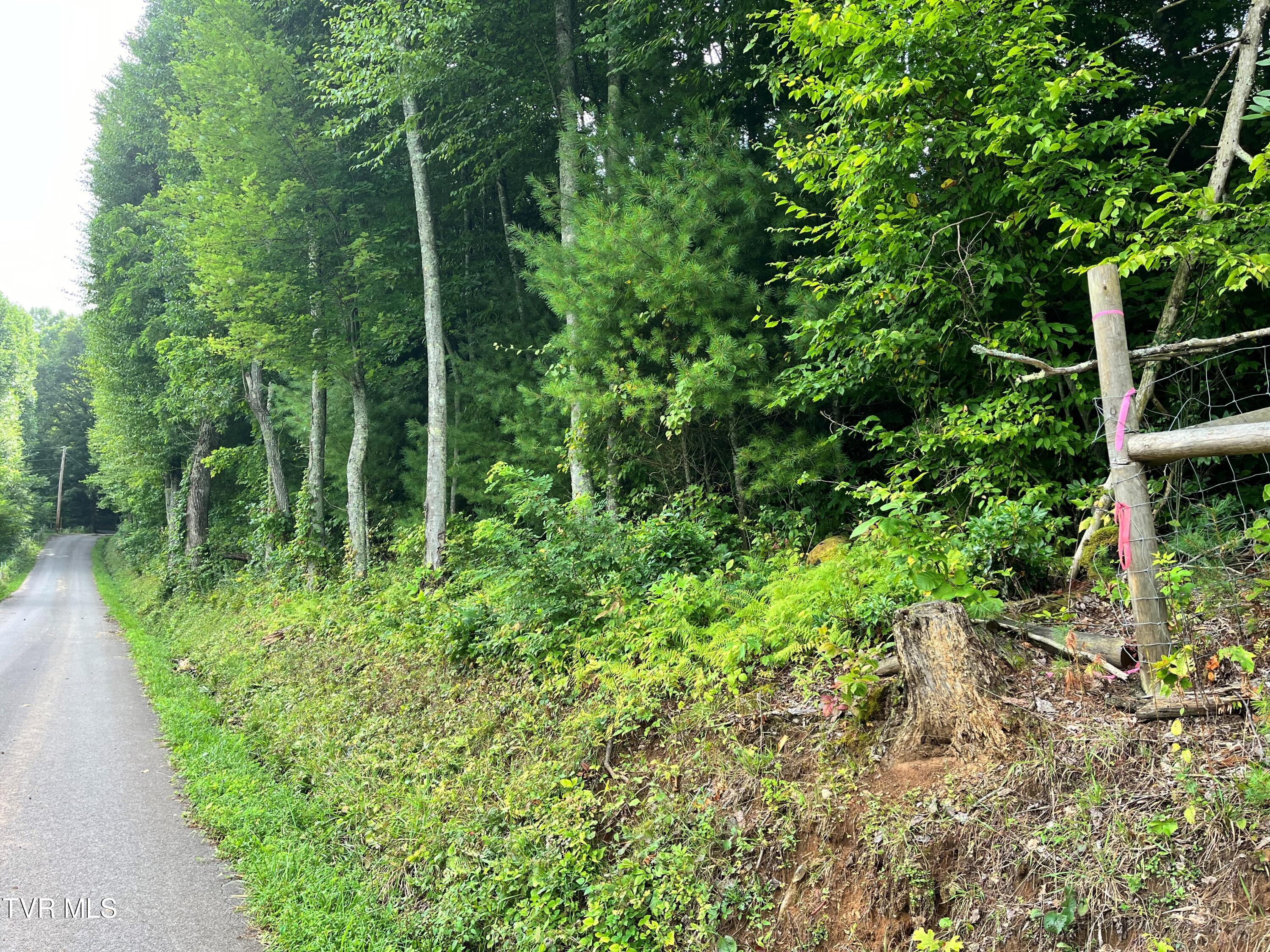 133 00 Richardson Hollow/ Estep Lp Rd, Elizabethton, Tennessee image 13