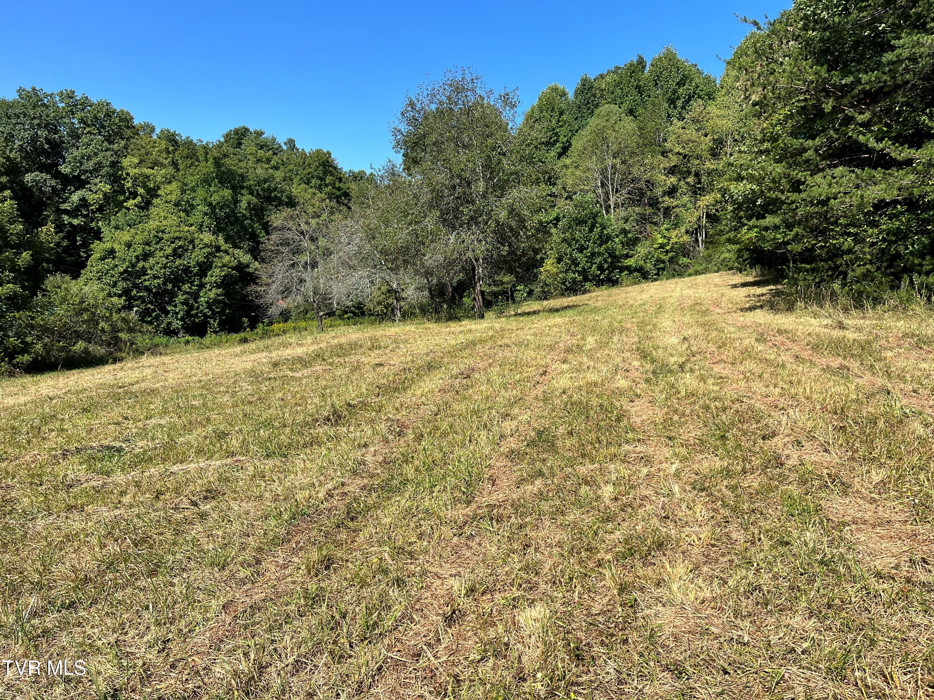133 00 Richardson Hollow/ Estep Lp Rd, Elizabethton, Tennessee image 7