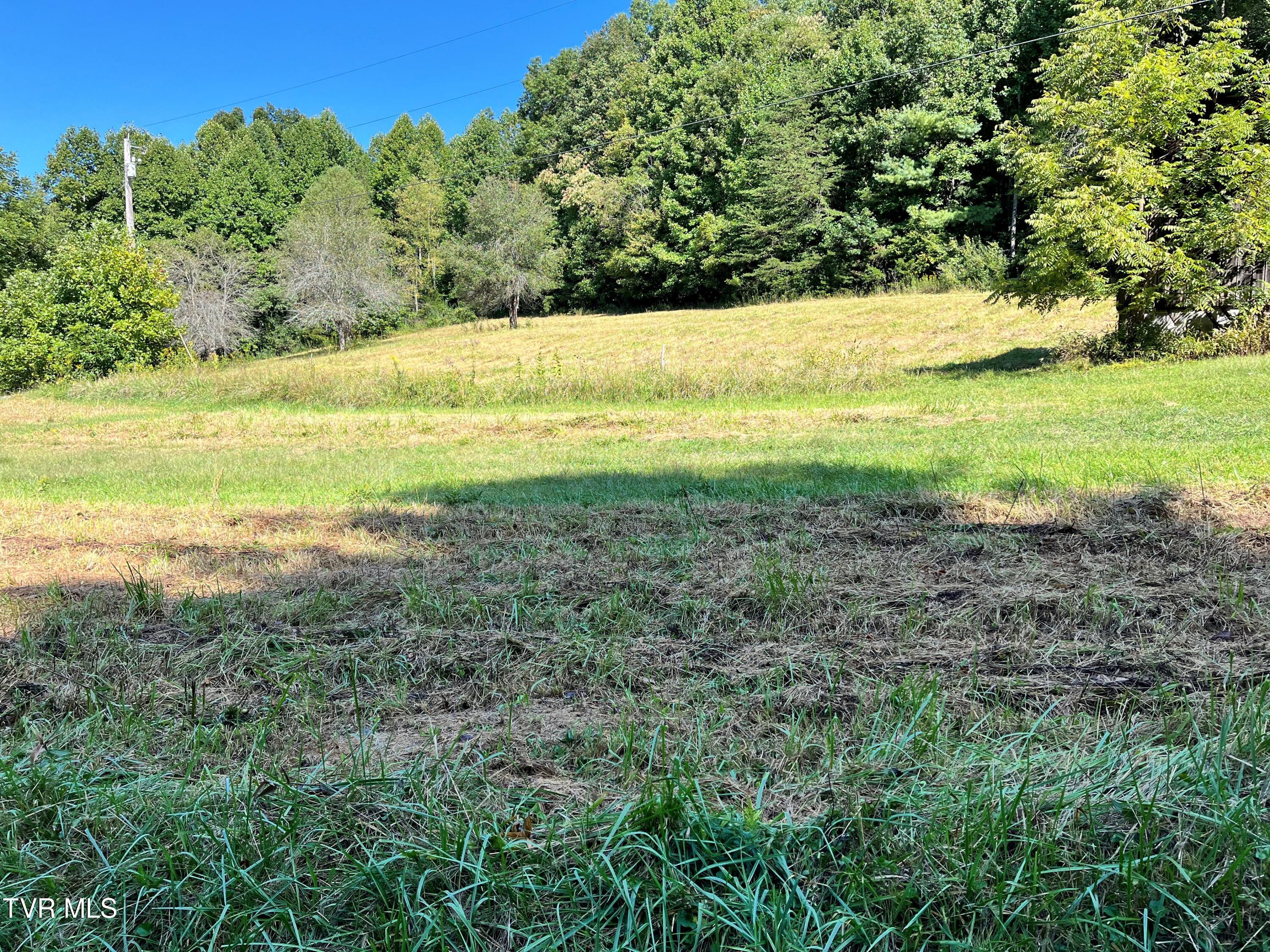 133 00 Richardson Hollow/ Estep Lp Rd, Elizabethton, Tennessee image 1
