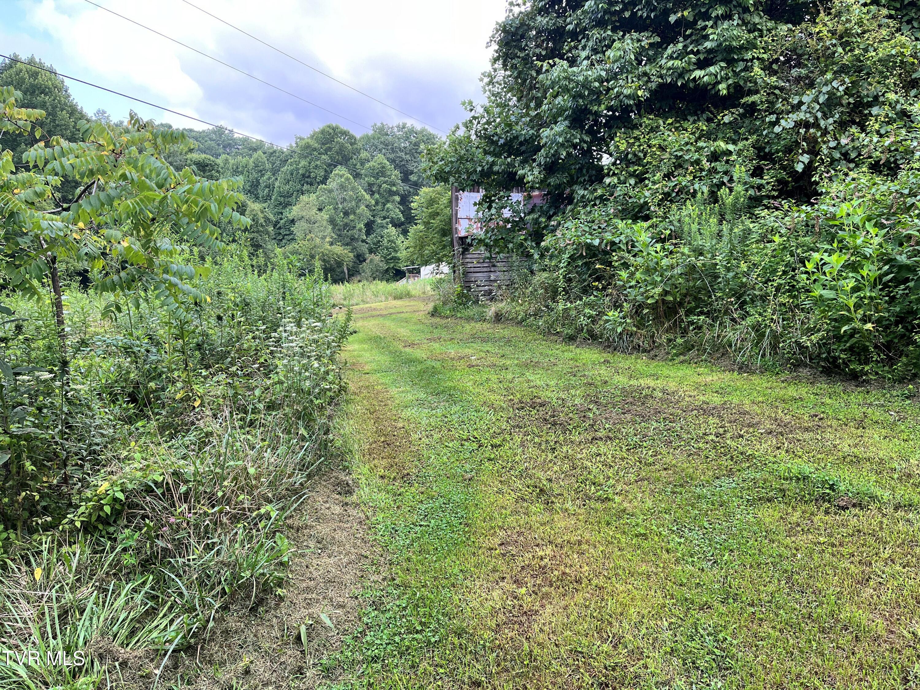 133 00 Richardson Hollow/ Estep Lp Rd, Elizabethton, Tennessee image 10