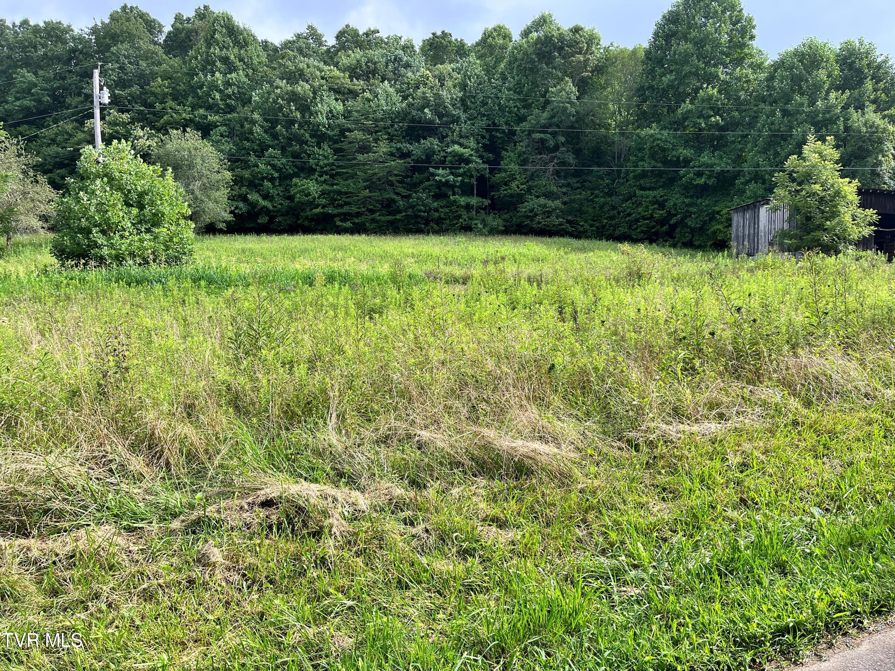 133 00 Richardson Hollow/ Estep Lp Rd, Elizabethton, Tennessee image 8