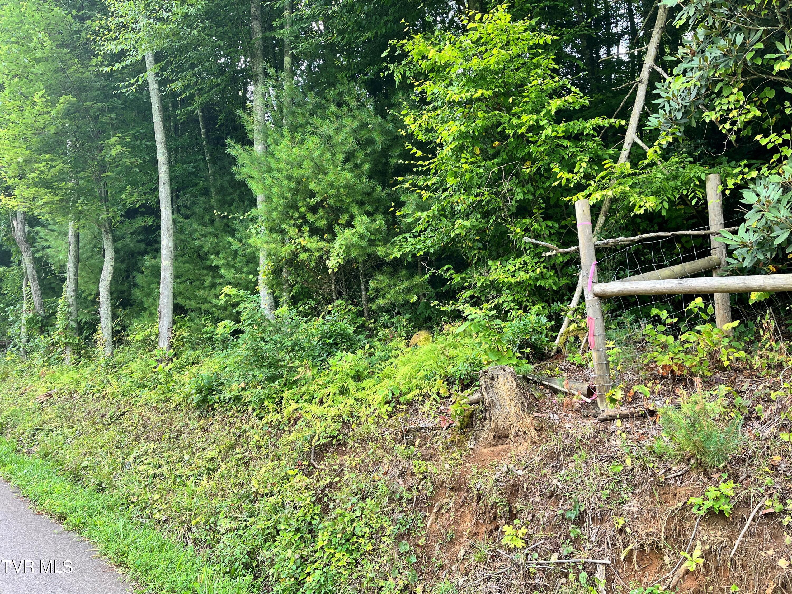 133 00 Richardson Hollow/ Estep Lp Rd, Elizabethton, Tennessee image 12