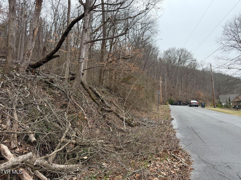 Photo of Tbd Kings Bay Drive, Kingsport, TN 37660 (MLS # 9981175)