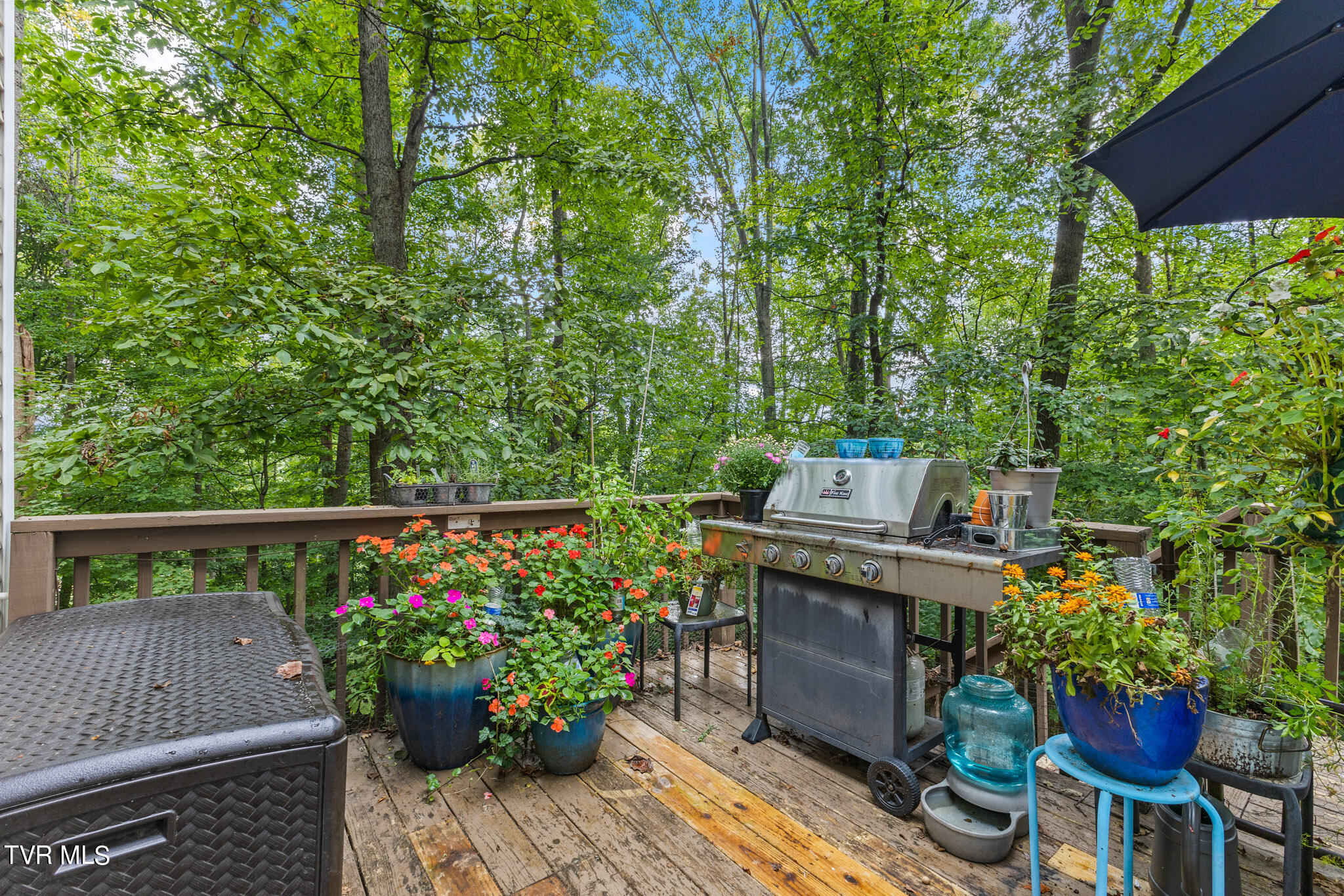 376 Cain Drive, Blountville, Tennessee image 44