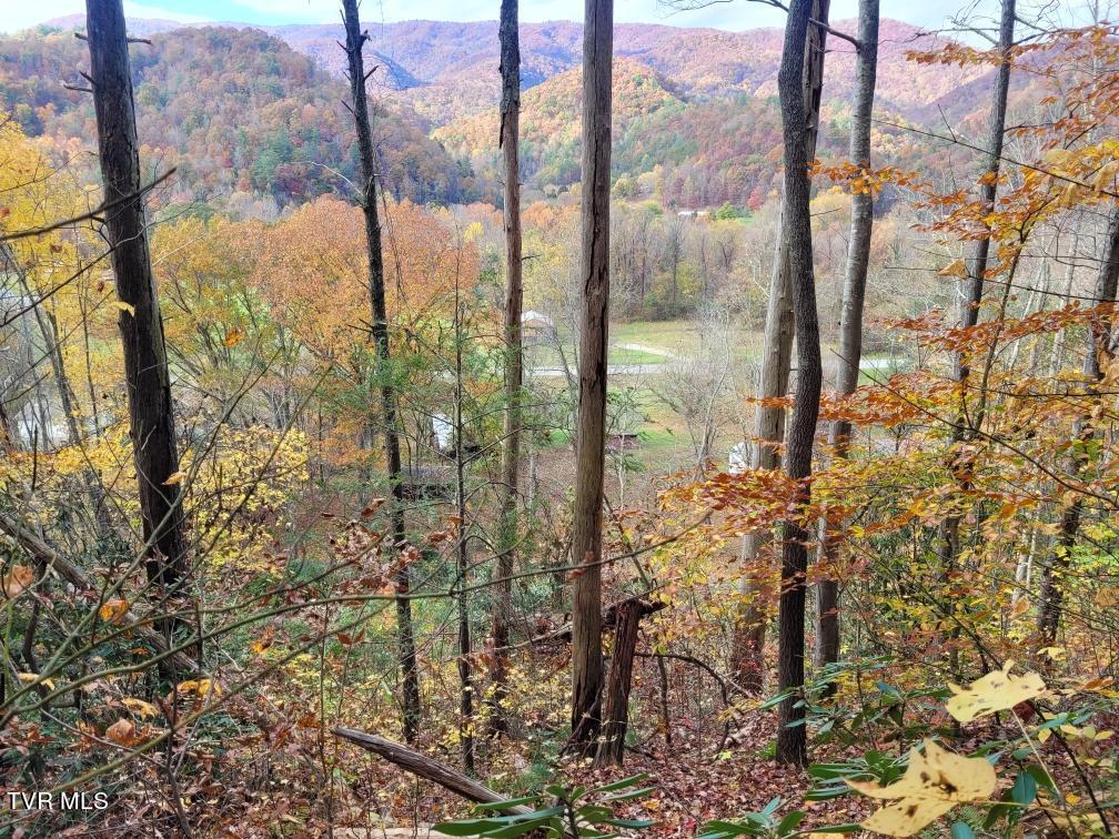 Tbd Old Hwy Road, Erwin, Tennessee image 9