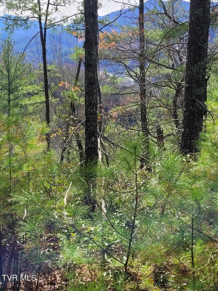 Tbd Old Hwy Road, Erwin, Tennessee image 8