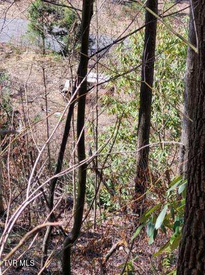 Tbd Old Hwy Road, Erwin, Tennessee image 10