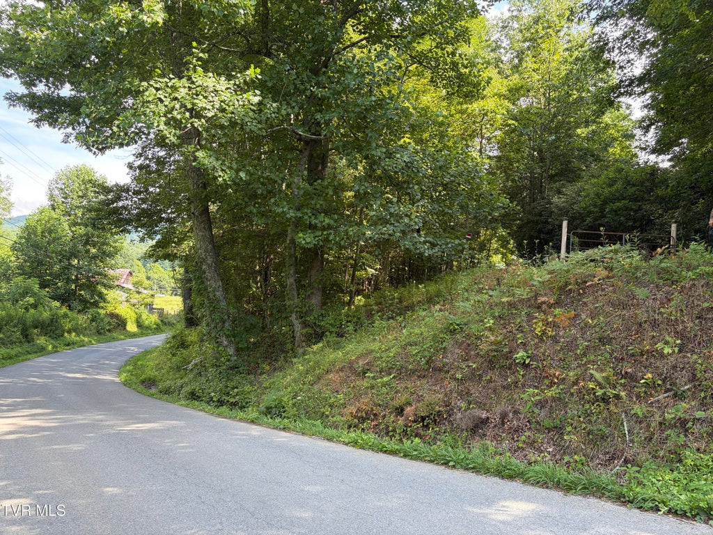 Photo of 848 Fairview Road, Hampton, TN 37658 (MLS # 9998534)