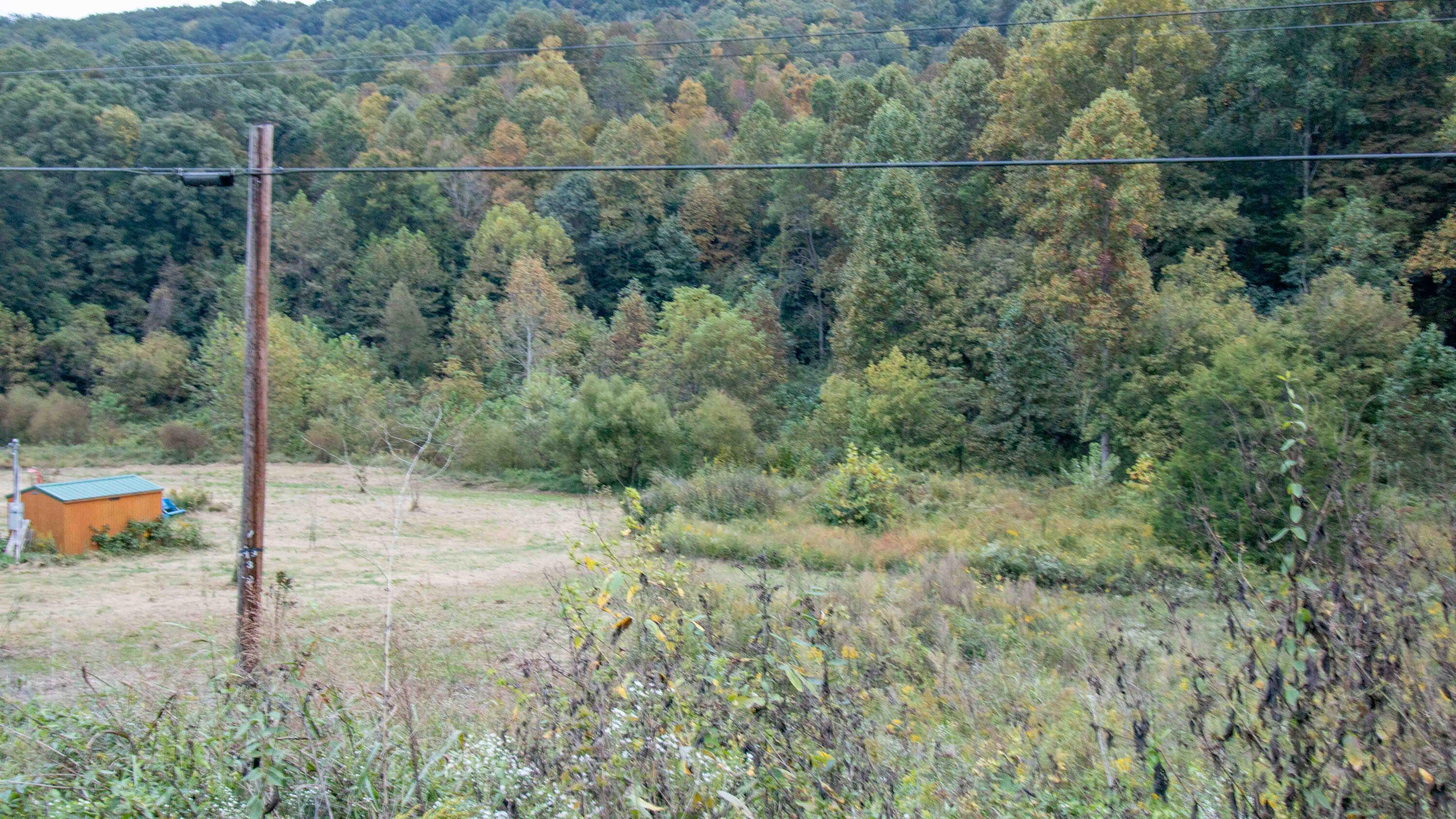 377 Butcher Valley Road, Rogersville, Tennessee image 14