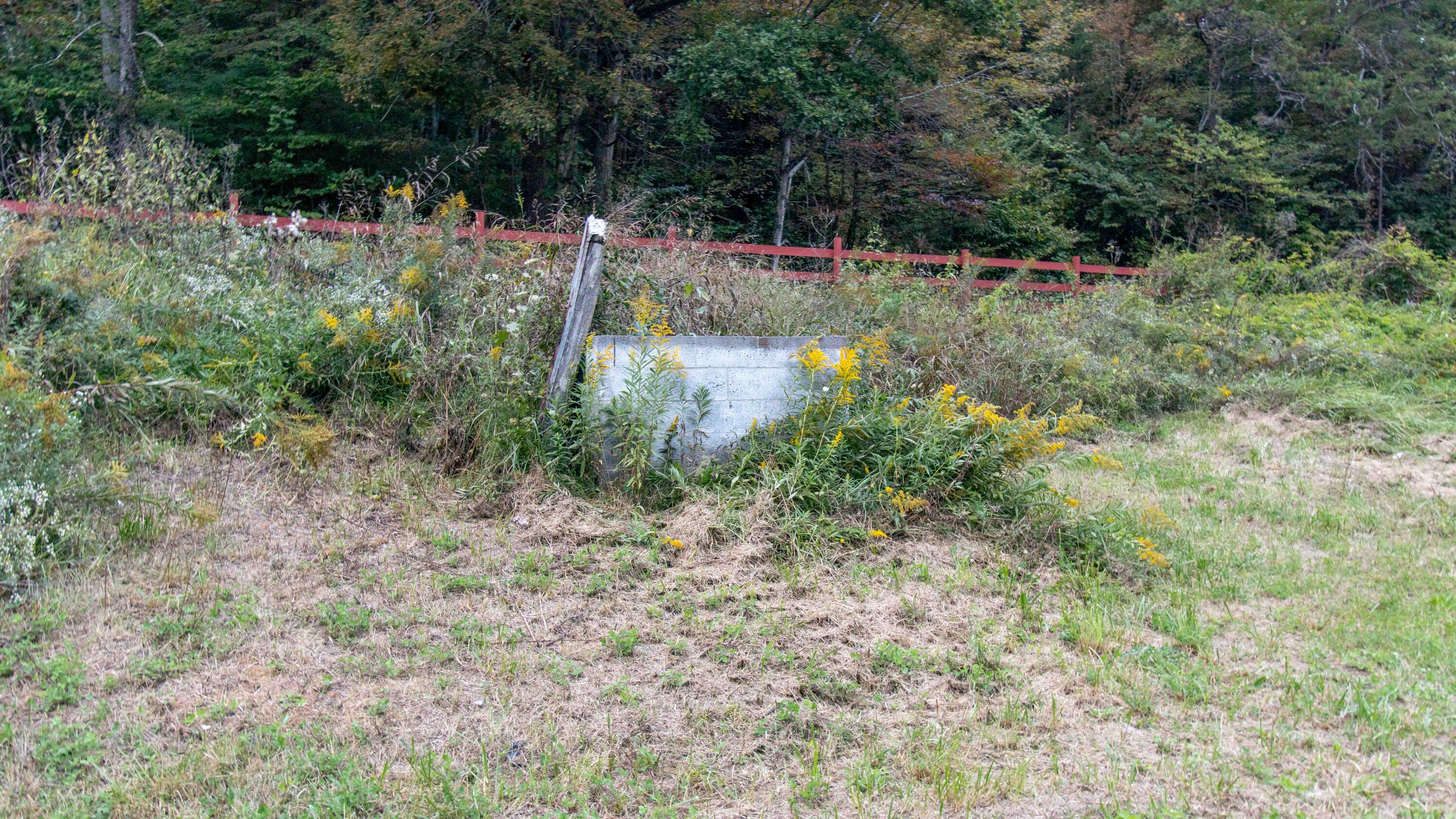 377 Butcher Valley Road, Rogersville, Tennessee image 11