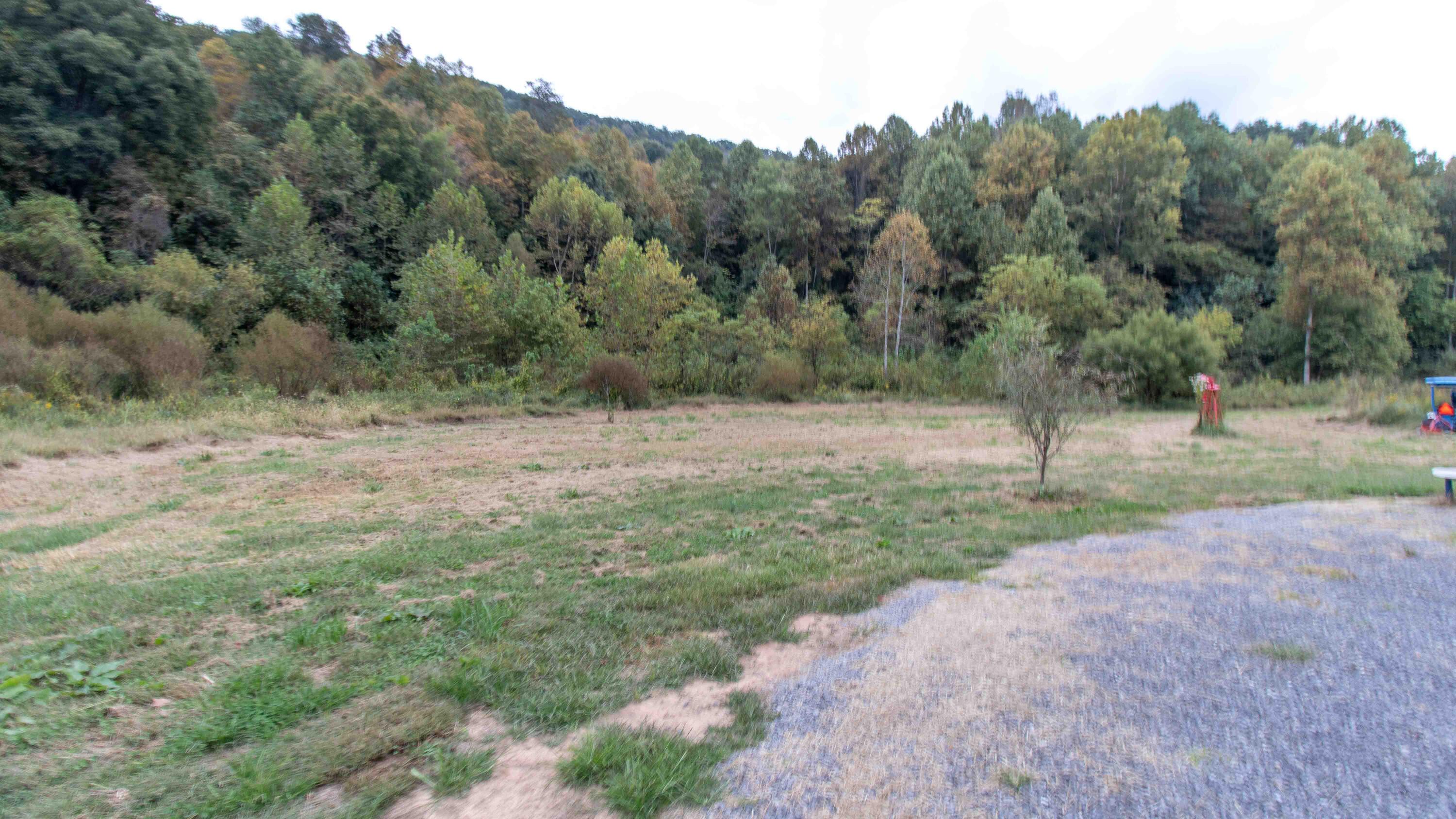 377 Butcher Valley Road, Rogersville, Tennessee image 3