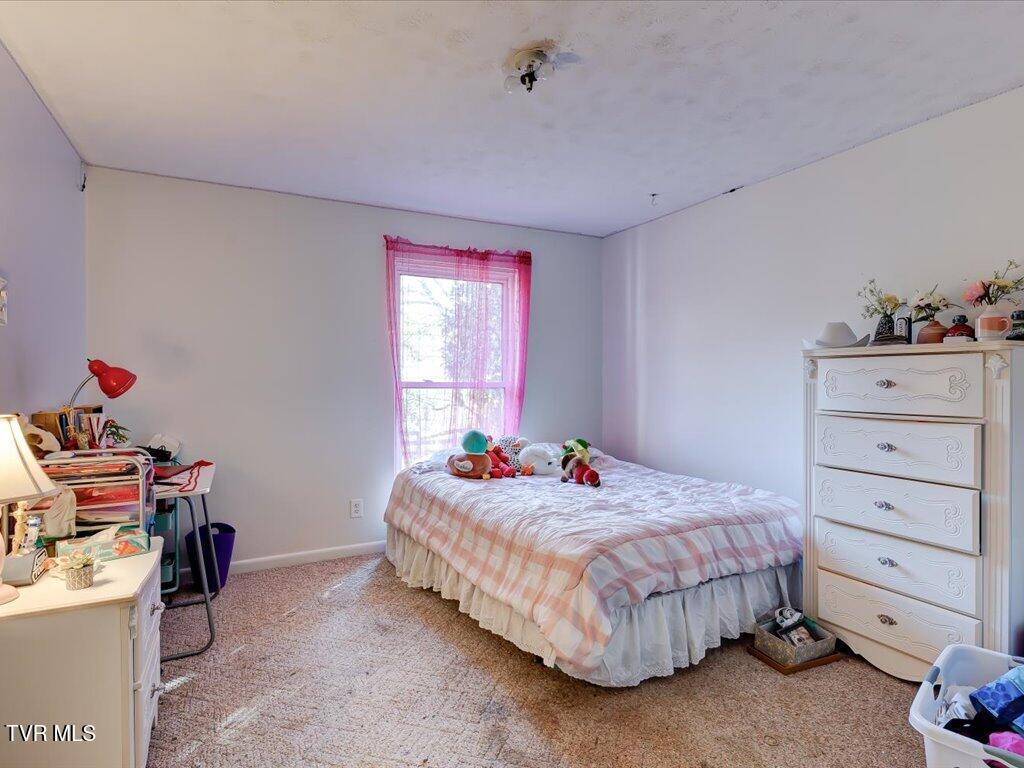 128 Shephards Chapel Road, Rogersville, Tennessee image 20