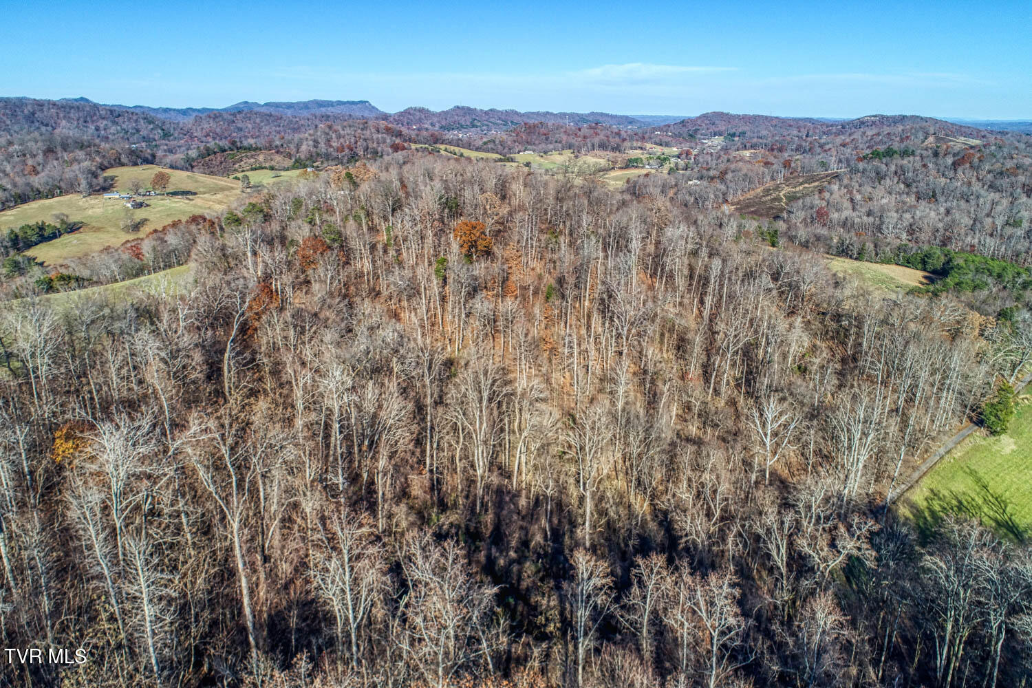 Tbd2 Chestnutt Town Road, Rogersville, Tennessee image 9