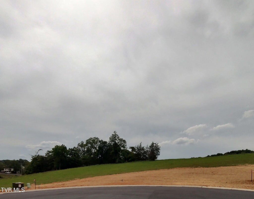 Photo of 19 Steepleview Court, Jonesborough, TN 37659 (MLS # 9981444)