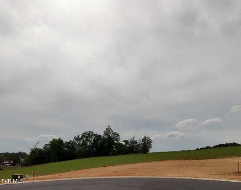 Vacant Land For Sale - LOT 19 Steepleview Court<br/> Jonesborough, TN 37659