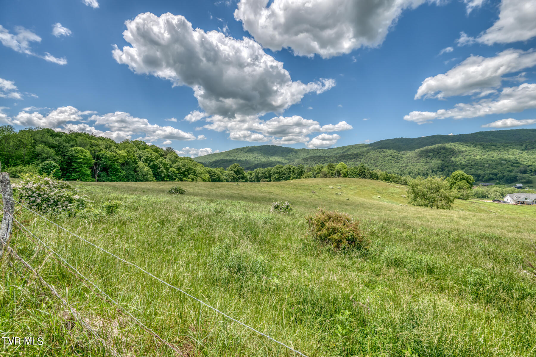 937 Big Dry Run Road, Mountain City, Tennessee image 29